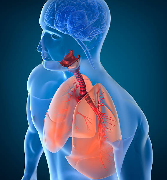 Опасности для дыхательной системы