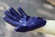 Перчатки JACKSON SAFETY G60 Purple Nitrile от порезов (Уровень 2)